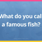 What do you call a famous fish?