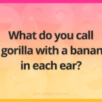 What do you call a gorilla with a banana in each ear?