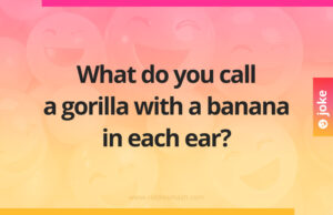 What do you call a gorilla with a banana in each ear?