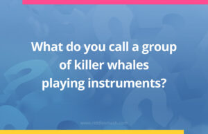 What do you call a group of killer whales playing instruments?