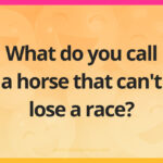 What do you call a horse that can't lose a race?