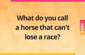 What do you call a horse that can't lose a race?
