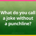 What do you call a joke without a punchline?