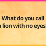 What do you call a lion with no eyes?