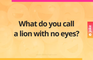 What do you call a lion with no eyes?