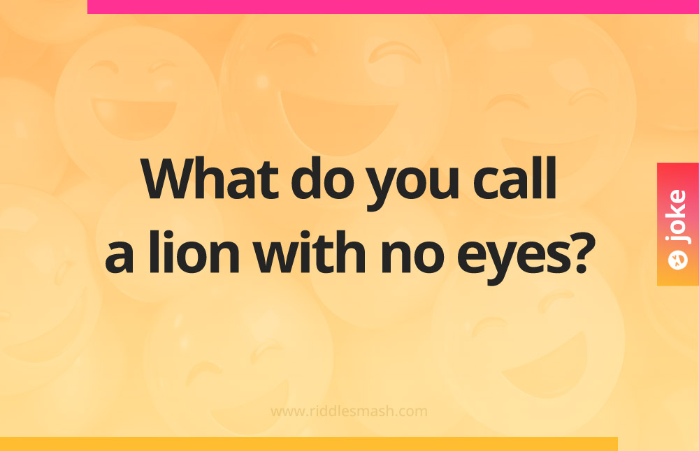 What do you call a lion with no eyes?