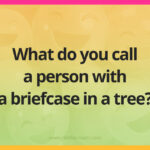What do you call a person with a briefcase in a tree?