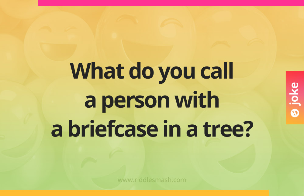 What do you call a person with a briefcase in a tree?