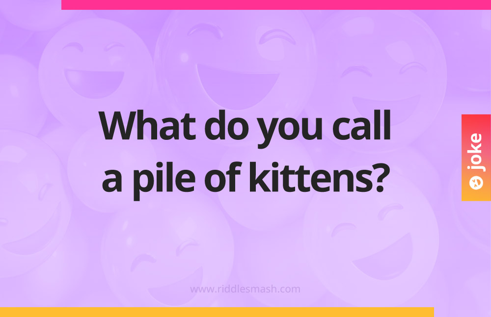 What do you call a pile of kittens?
