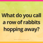 What do you call a row of rabbits hopping away?