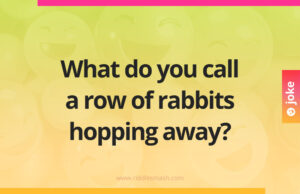 What do you call a row of rabbits hopping away?