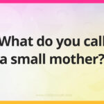 What do you call a small mother?
