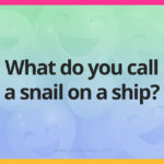 What do you call a snail on a ship?