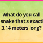 What do you call a snake that's exactly 3.14 meters long?