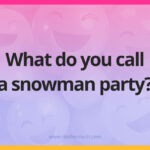 What do you call a snowman party?