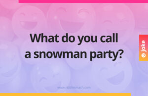 What do you call a snowman party?