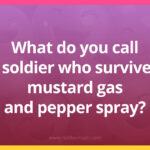 What do you call a soldier who survived mustard gas and pepper spray?