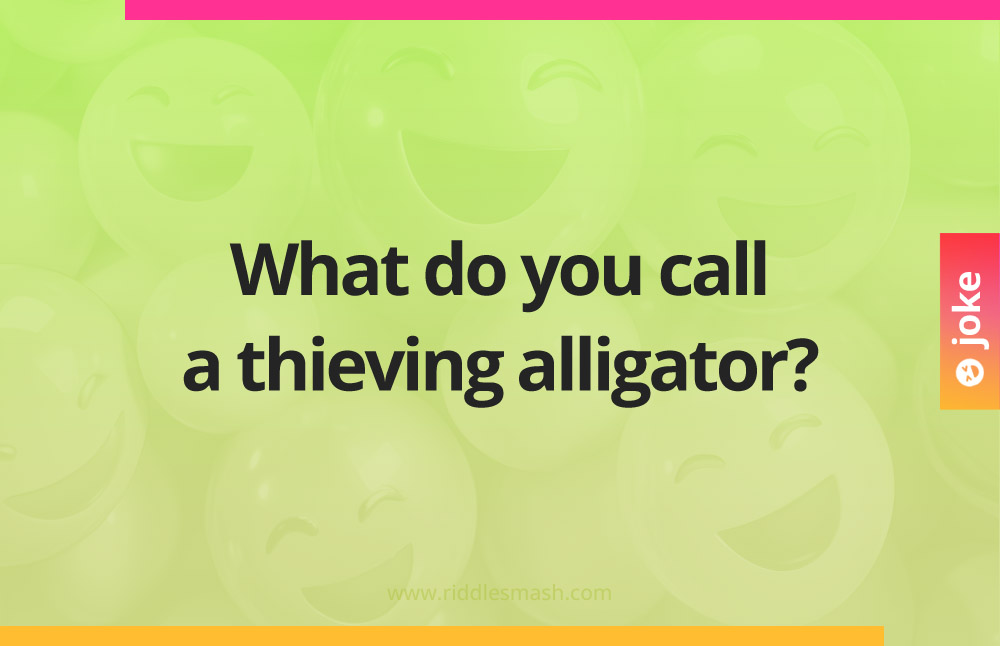 What do you call a thieving alligator?