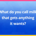 What do you call milk that gets anything it wants?