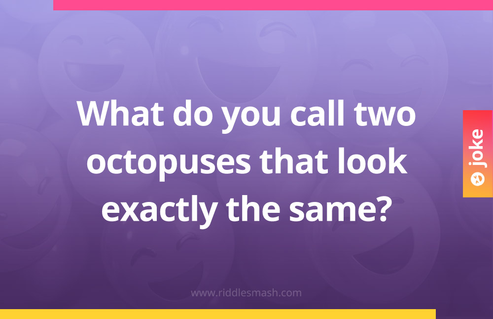 What do you call two octopuses that look exactly the same?