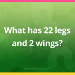What has 22 legs and 2 wings?