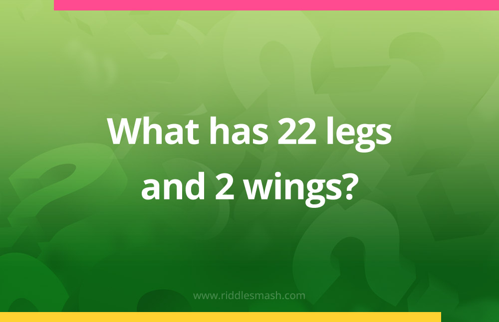 What has 22 legs and 2 wings?
