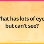 What has lots of eyes, but can't see?