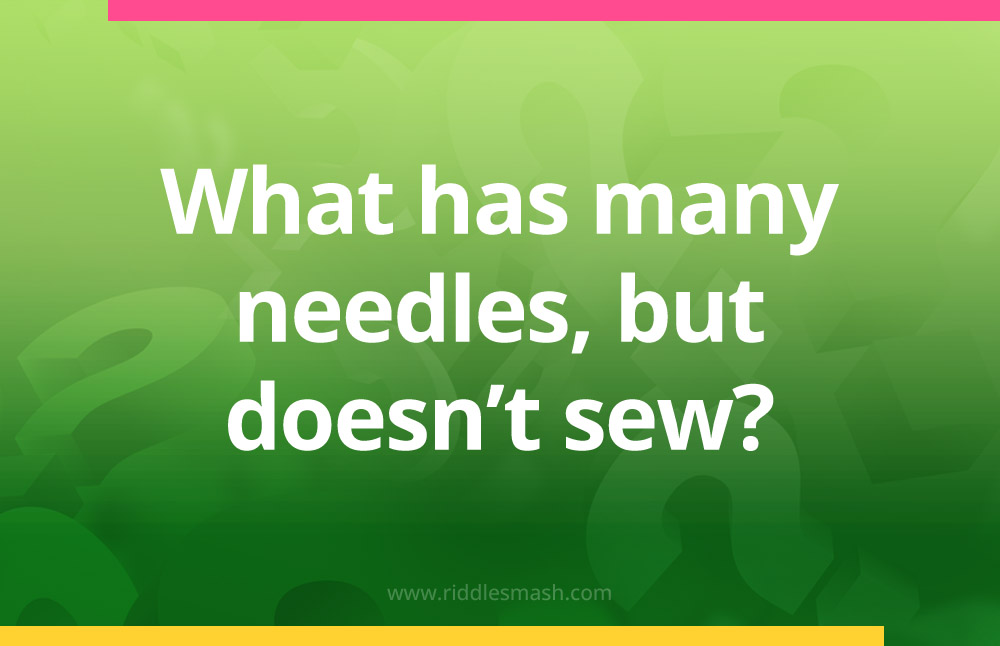 What has many needles, but doesn't sew?