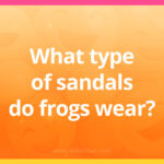 What type of sandals do frogs wear?