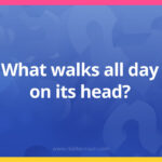 What walks all day on its head?