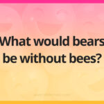 What would bears be without bees?