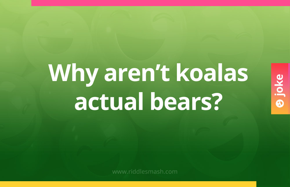 Why aren’t koalas actual bears?