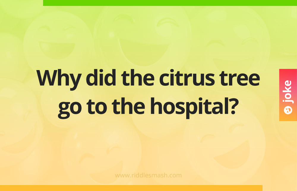 Why did the citrus tree go to the hospital?