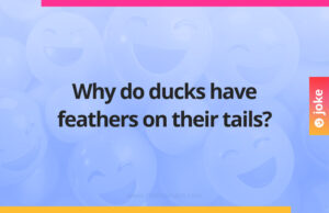 Why do ducks have feathers on their tails?