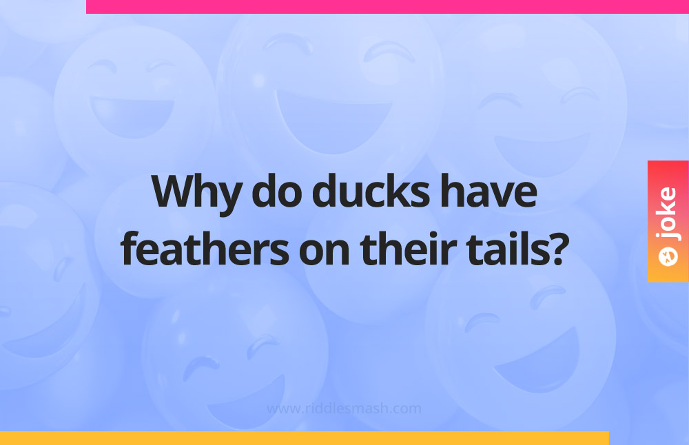 Why do ducks have feathers on their tails?