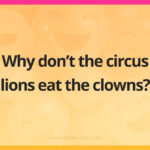 Why don't the circus lions eat the clowns?