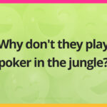 Why don't they play poker in the jungle?
