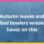 Autumn leaves and bad bowlers wreak havoc on this.