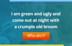 I am green and ugly and come out at night with a crumple old broom.