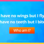 I have no wings but I fly, I have no teeth but I bite. What am I?