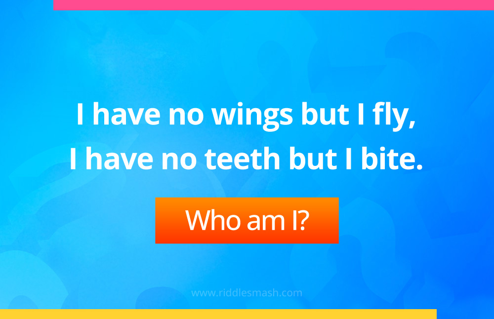 I have no wings but I fly, I have no teeth but I bite. What am I?