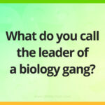 What do you call the leader of a biology gang?