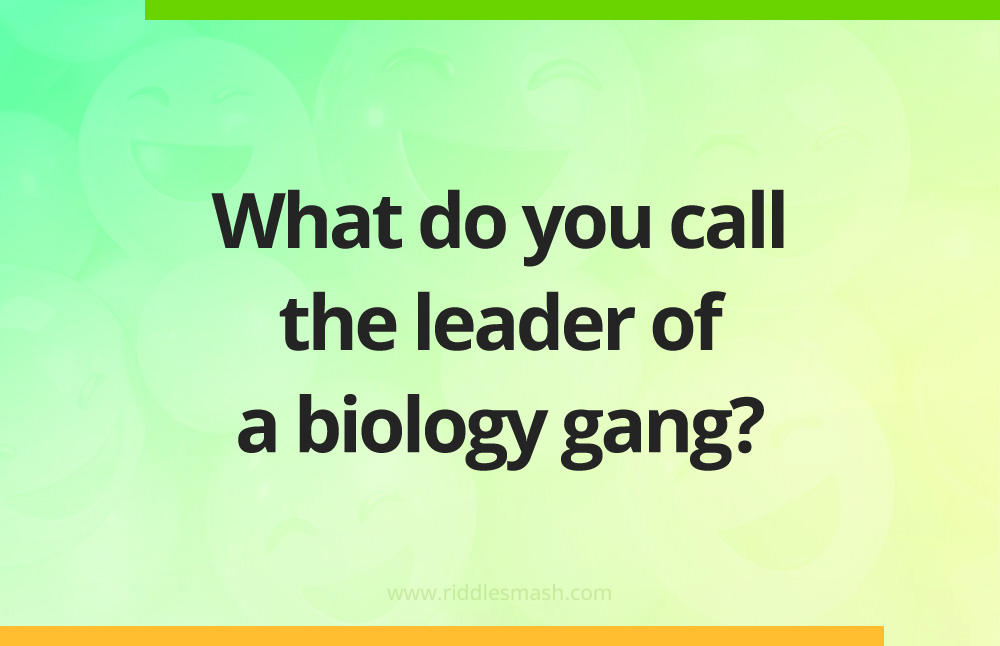 What do you call the leader of a biology gang?