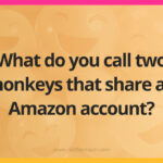 What do you call two monkeys that share an Amazon account?