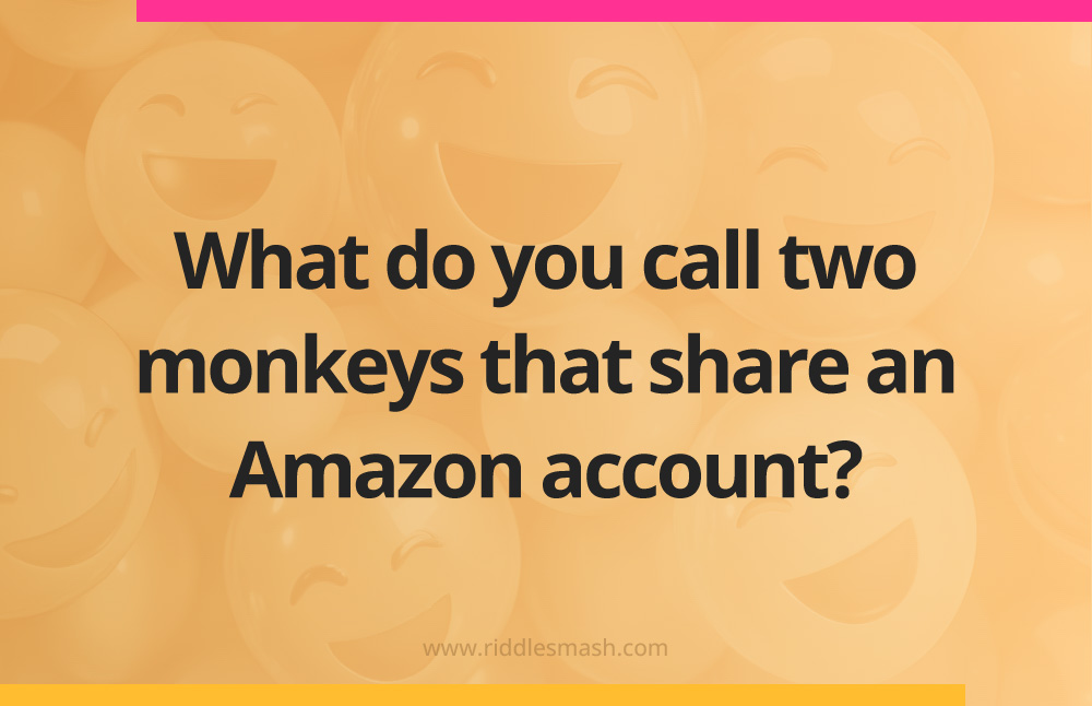 What do you call two monkeys that share an Amazon account?