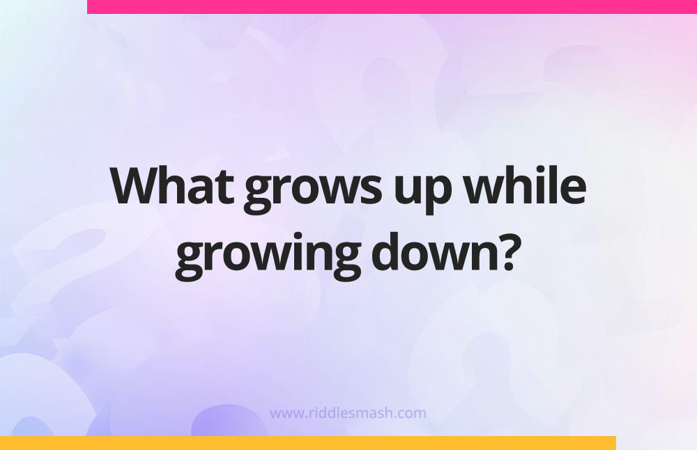 What grows up while growing down?