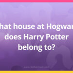 What house at Hogwarts does Harry Potter belong to?