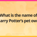 What is the name of Harry Potter’s pet owl?