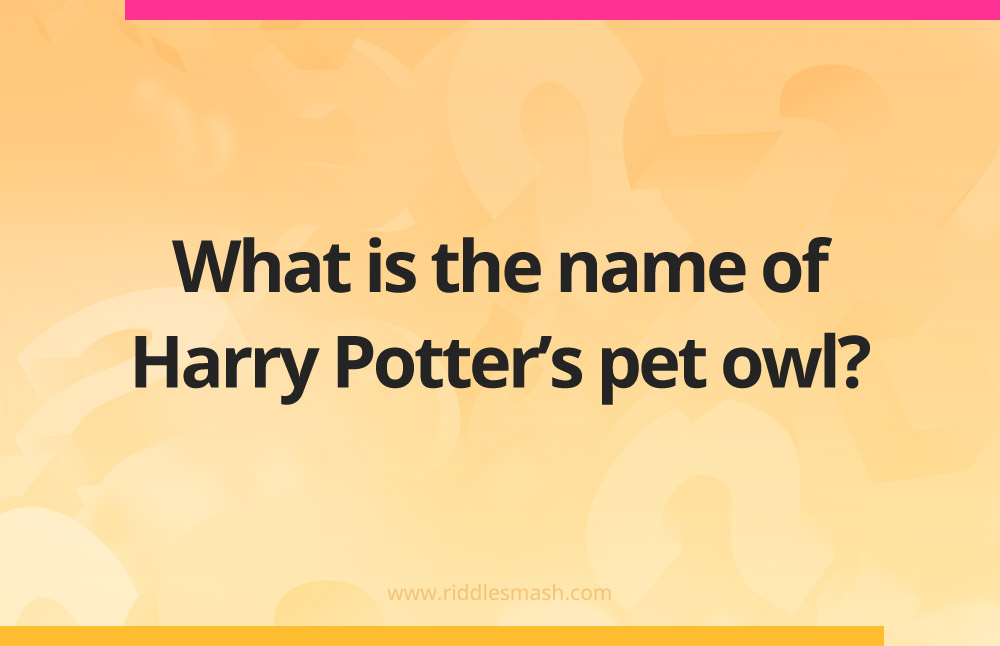 What is the name of Harry Potter’s pet owl?