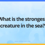 What is the strongest creature in the sea?